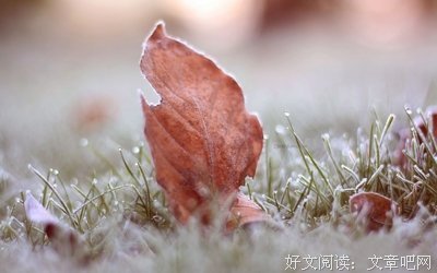 恨恨的名言_关于恨恨的名言