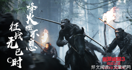 关于萧峰的语句