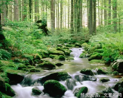 书摘名句欣赏