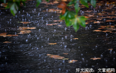 有关quq的句子