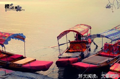 关于范木木的句子