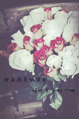 彼岸海句子