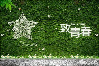 迷茫句子
