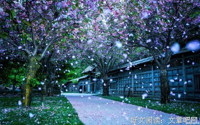 伤心句子大全