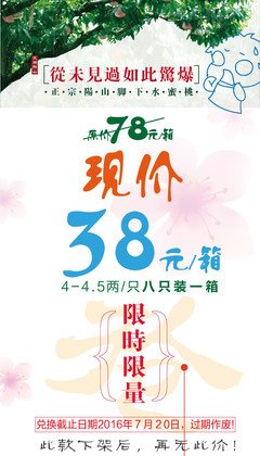 有关桃子夏名言