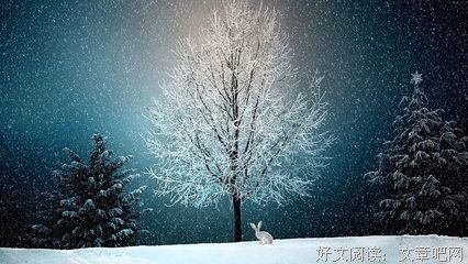 有关梁遇春精彩语录