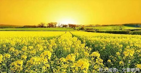 将来老了靠谁养，太实在了！