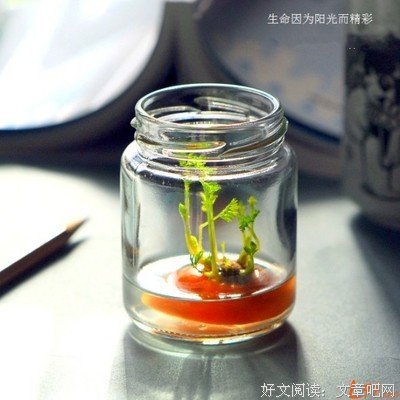 最全的星座系经典语录