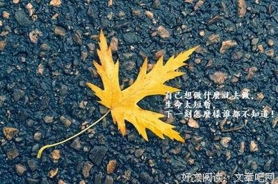 最经典的晴天、名言