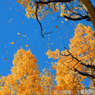 朱成玉的名言