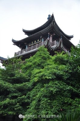 最全的《偶遇》语录摘抄