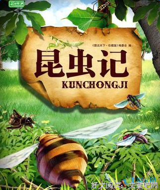 最全的《初心》好段摘抄