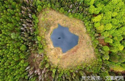 最全的《尊严》经典名句大全