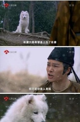《少帅》连续剧台词大全