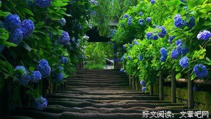 最经典的《庄子》经典语句
