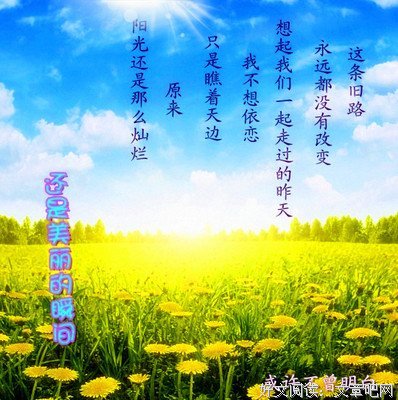 最经典的《棋王》小说书摘大全