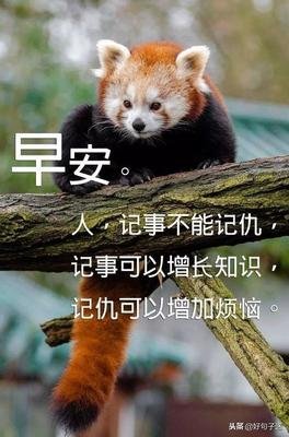 最经典的《生活》经典语录