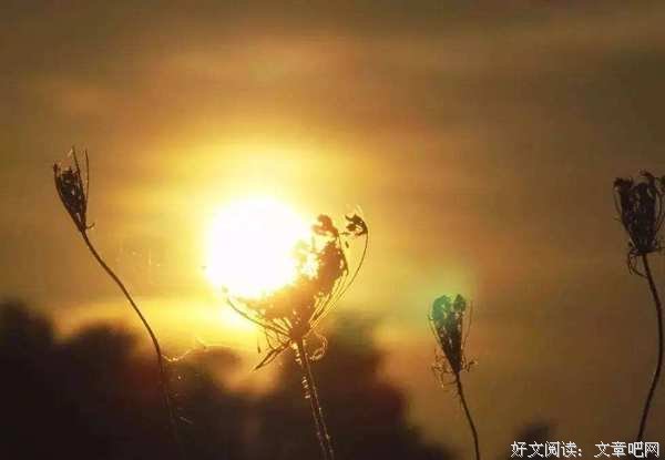 我希望！（2019年最佳美文）