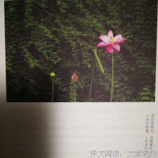 相逢如初见 回首是一生句子