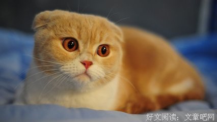 有关你偷了我的心的句子