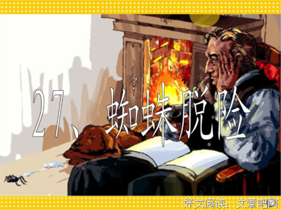 蜘蛛的优美句子