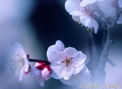 我们出到要一大上国当的句子