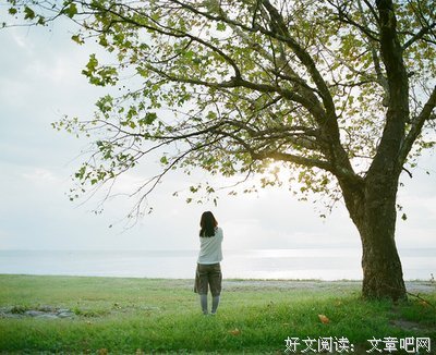 最全的郑智化经典语录
