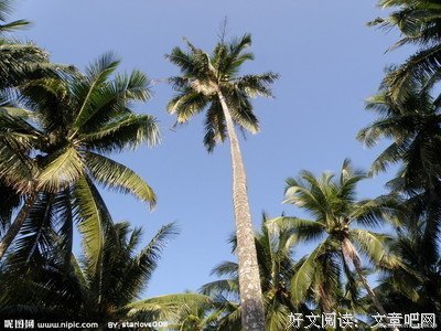 醉疯魔名言大全