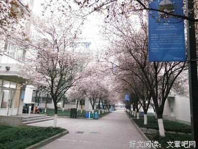 最新的王小波15句经典名言