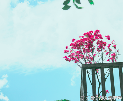 玖月晞精彩语录