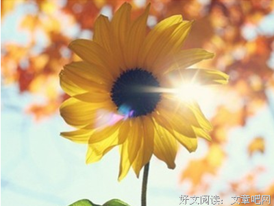 关于笛卡尔名言大全