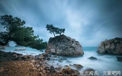 最新的《约定》经典句子