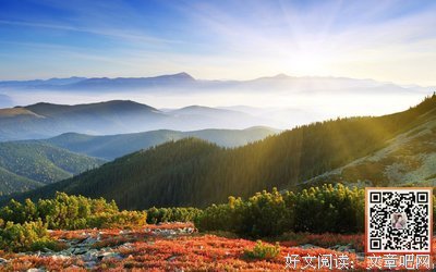 《野草》经典的句子