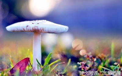 最全的《随笔》语录摘抄