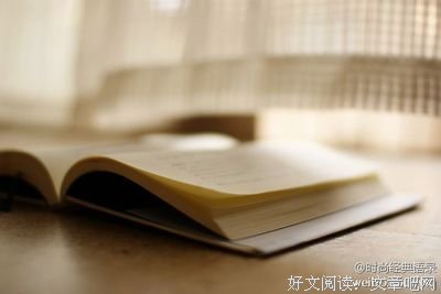 最经典的《龙泪》经典语录