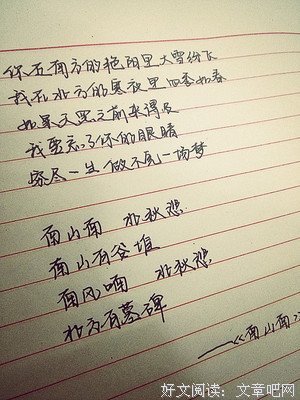 《南山南》经典语句