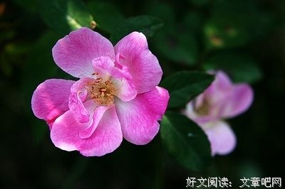 让这个冬天，再暖一点