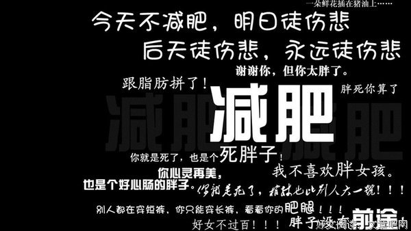 最全的《孤城闭》经典句子