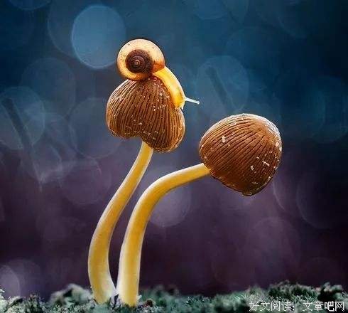 真正聪明的人，都懂得在生活中做减法 