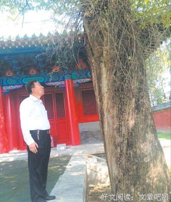 关于颜子的语句