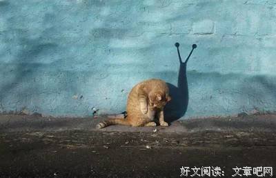 百孔千疮的名人名言
