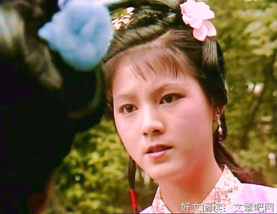 贾宝玉的语句摘抄_关于贾宝玉的语句