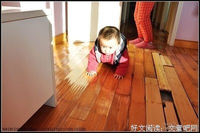 15条关于小毛的经典语句