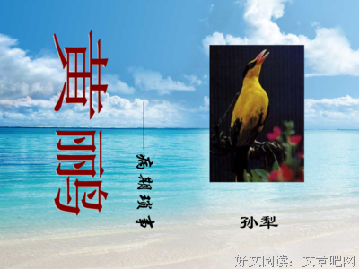 关于写作文艺的句子
