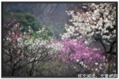 白落梅丶忧殇即美句子大全