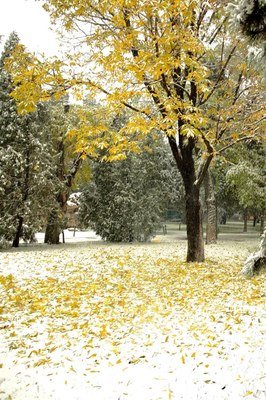 梦躲在我气多过她，漫得以里的我飘落在枫叶上雪花上～你在想我优