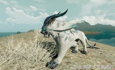 我喜欢的小说语录