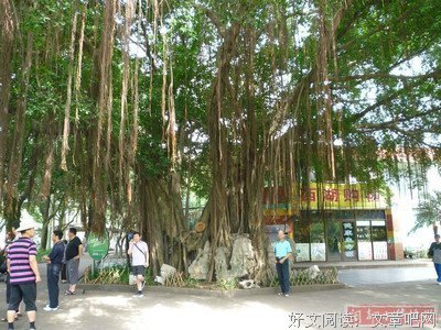 墨香铜臭名言大全