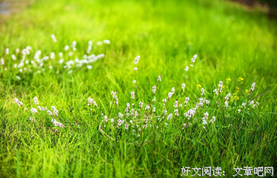 最新的三水小草的名言