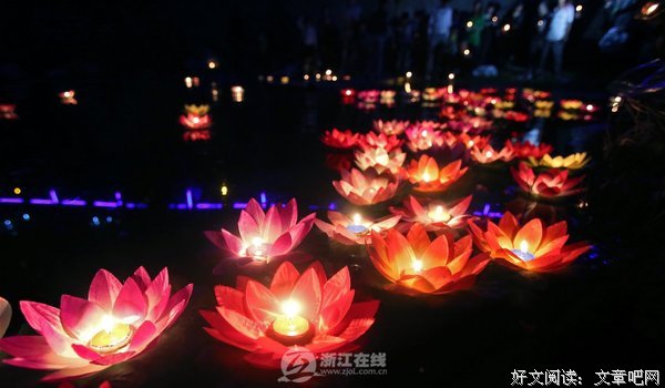 关于不见莲花名言名句